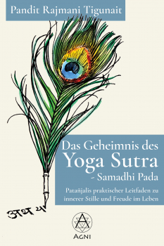 Buchcover Das Geheimnis des Yogasutra